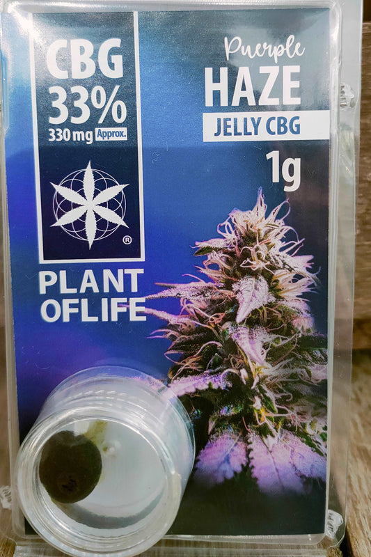 Purple haze jelly CBF 1g